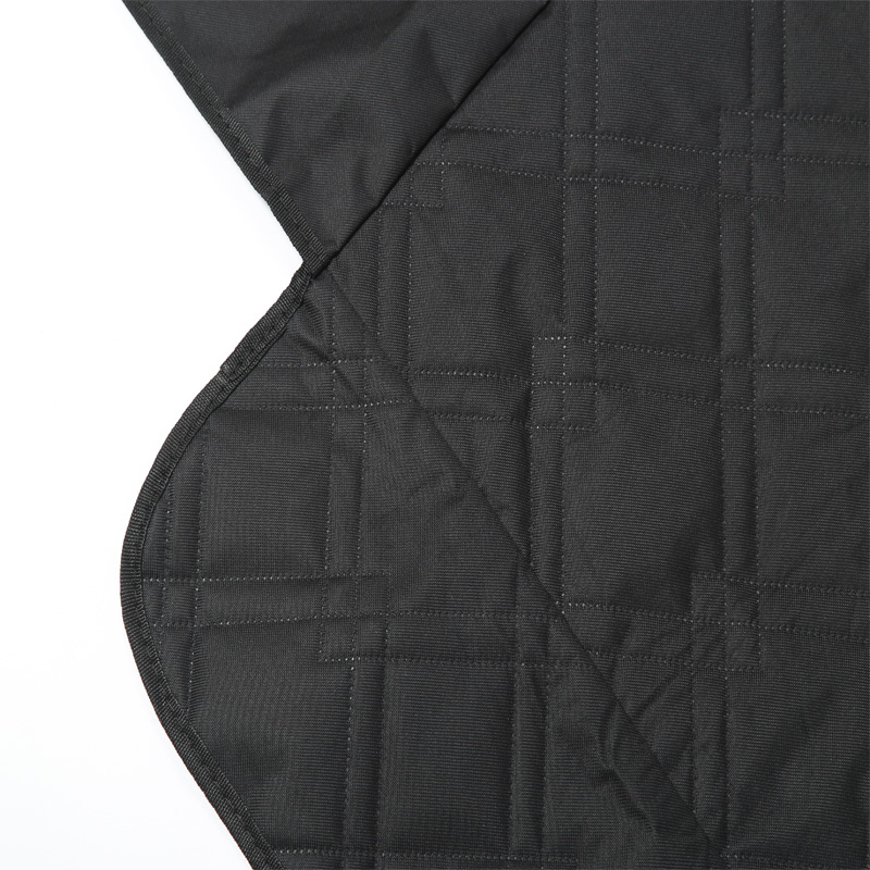 Pet Pad per Tesla Model 3 Y Co - Travel Access recensione e prezzo